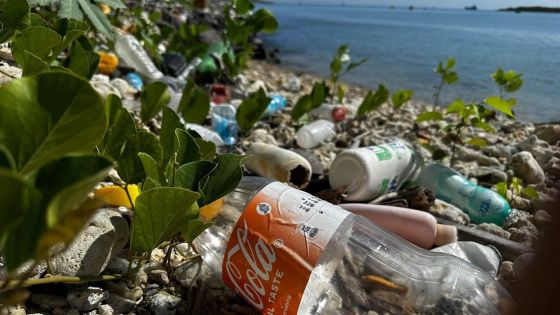 Mauritius Plastic Challenge : plus de 5 000 kilos de plastique récupérés dans la nature