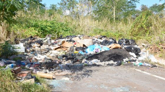 Environnement - des déchets jetés dans des espaces publics : l’incivisme à son comble