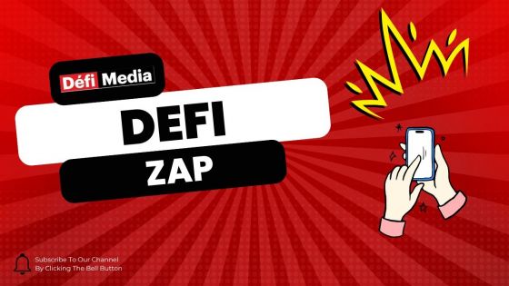 Défi Zap : une compilation des vidéos qui ont fait le buzz