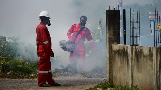 La dengue fait 44 morts au Honduras