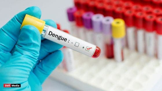 Dengue : un cas local détecté dans le Sud