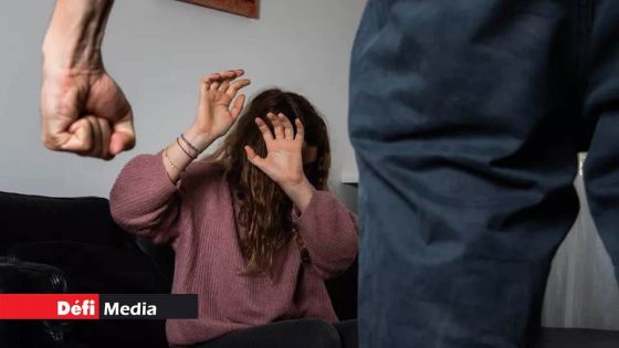 Parlement : la PNQ axée sur la violence domestique 