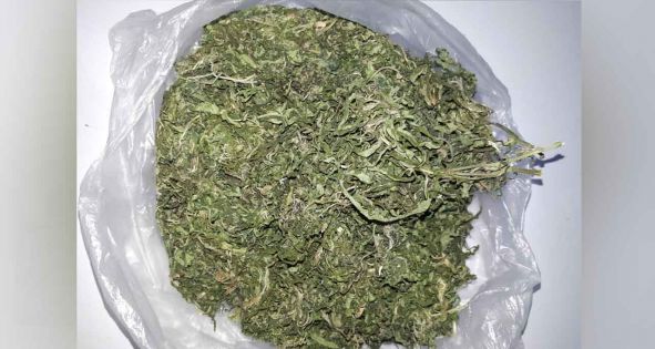 Le Morne : un coiffeur arrêté avec 130 grammes de cannabis 