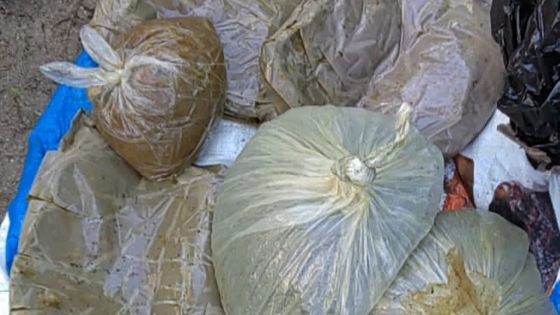 Île aux Bénitiers : plusieurs kilos d'héroïne et du haschisch découverts