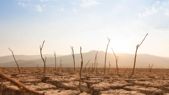 Le monde doit se préparer à des températures records provoquées par El Nino, selon l’ONU