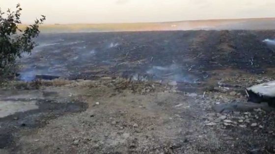 Un incendie ravage des champs de canne dans le Nord  
