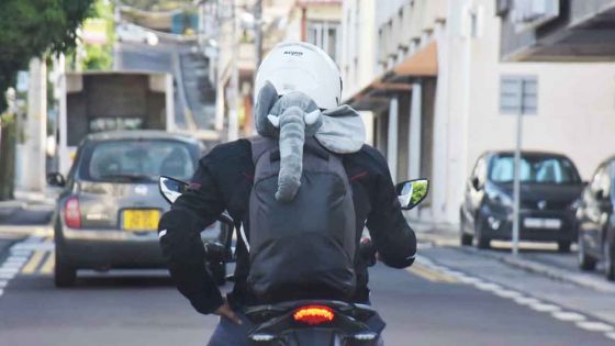 Insolite : un motocycliste circulant avec un éléphant en peluche qui dépasse de son sac à dos