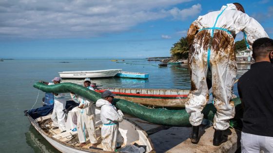 Trois ans après le naufrage du MV Wakashio : Eco-Sud s’apprête à porter plainte pour réclamer une indemnisation pour les victimes