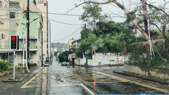 Forte tempête Eleanor : environ 12 600 foyers privés d’électricité 