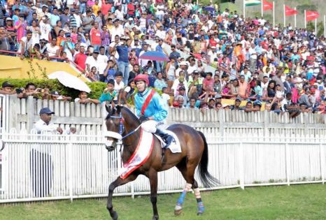 Hippisme : Enaad remporte la Maiden Cup 2017 