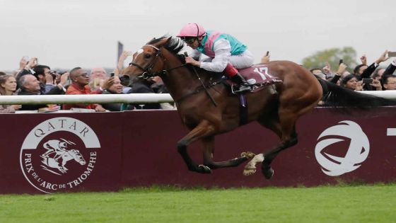 Prix de l'Arc de Triomphe : la jument Enable réalise le doublé