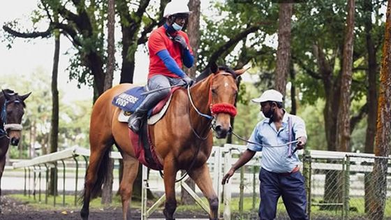 Centre Guy Desmarais : le début des séances d’entraînement des chevaux renvoyé à mardi