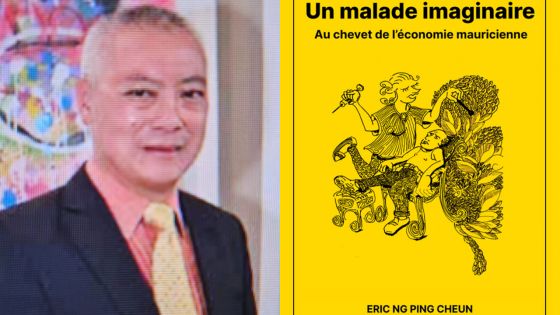Publication : les soutiens ‘imaginaires’ publics décortiqués par Éric Ng 
