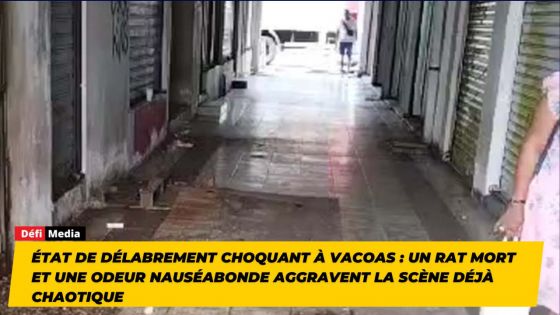 État de délabrement choquant à Vacoas : un rat mort et une odeur nauséabonde aggravent la scène déjà chaotique