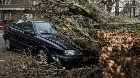 La tempête Eunice balaie le nord de l'Europe, faisant au moins 13 morts