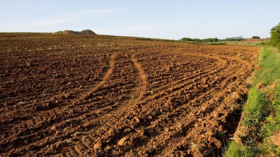 Permis de conversion de terrain : le ministère de l’Agro-industrie lance un help desk