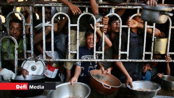  Gaza : 99 décès dus à la malnutrition en 2025, selon l'OMS
