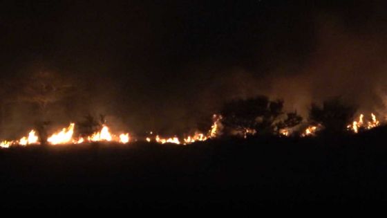 Port-Louis : important incendie sur la Montagne des Signaux