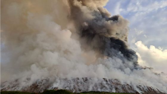 Incendie à Mare-Chicose : « Pas de danger pour les habitants », affirme l’Assistant Chief Fire Officer