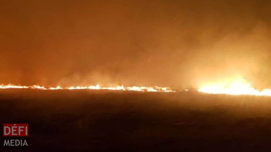 Fond-du-Sac : 100 arpents de cannes partent en fumée