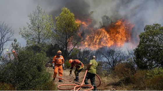 France : violent incendie sur la Côte d'Azur, évacuations et scènes de désolation