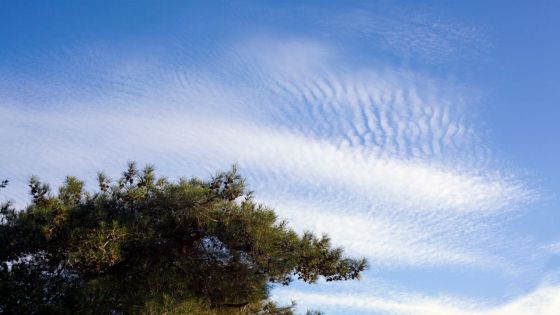 Prévisions météo pour ce lundi 5 février