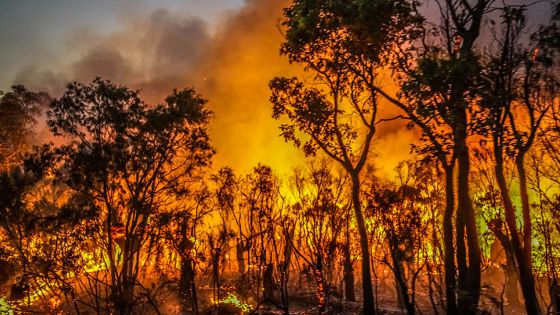 L'Australie prise entre feux de forêt et inondations