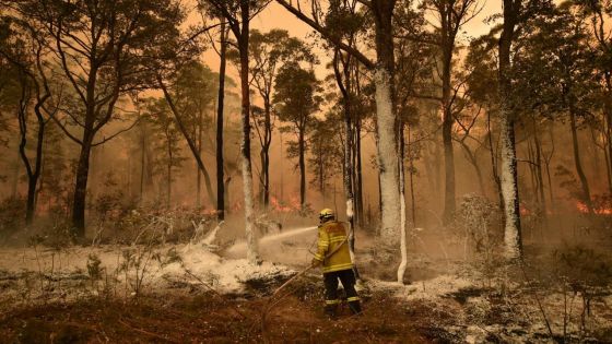 Australie : la pluie redonne de l'espoir dans la lutte contre les incendies