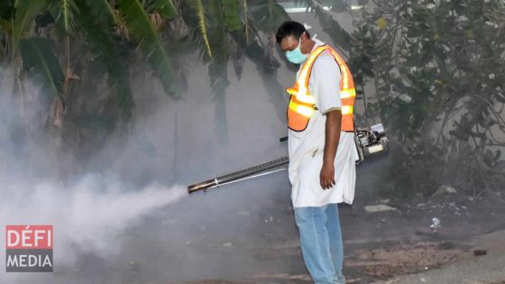 Santé : un cas de dengue recensé dans la région de Port-Louis 