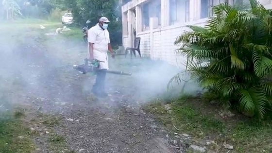 Dengue : voici comment se déroule un exercice de fumigation
