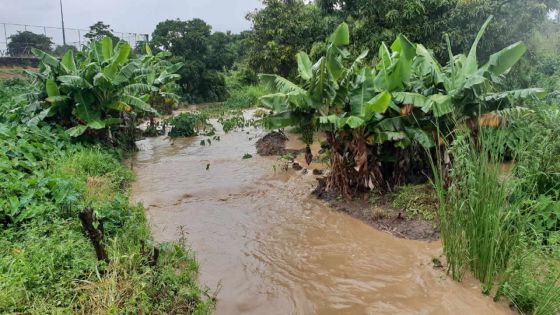 Avis de fortes pluies : le National Emergency Operations Command appelle à la vigilance 