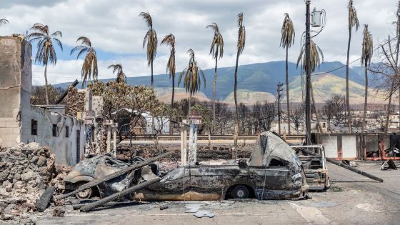 Incendies à Hawaï : le bilan humain dépasse les 100 morts