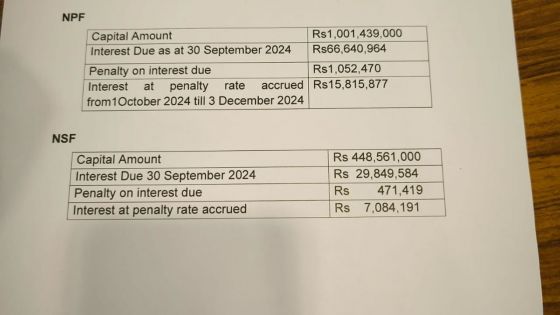 Placement financier : NPF et NSF : Rs 1,5 milliard de deniers publics à risque