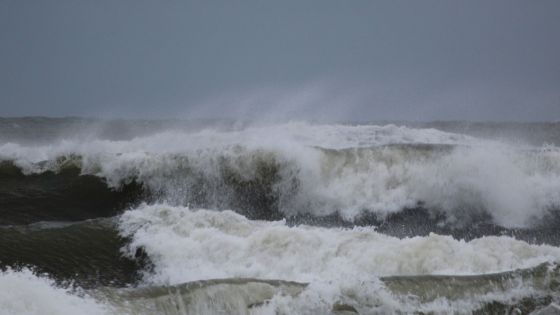 Météo : les prévisions pour ce vendredi