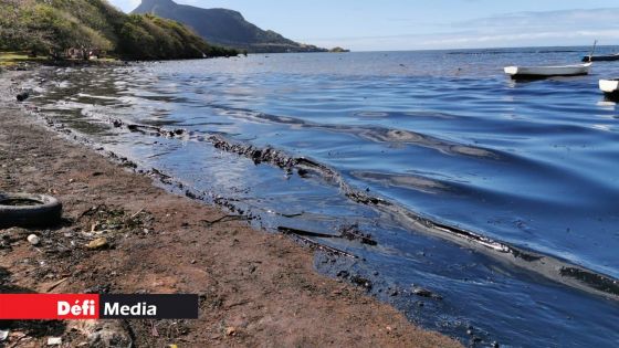Déversement d’huile du Wakashio : le nettoyage de 21 km du littoral du Sud-est complété