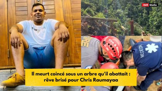 Il meurt coincé sous un arbre qu'il abattait : rêve brisé pour Chris Raumayaa