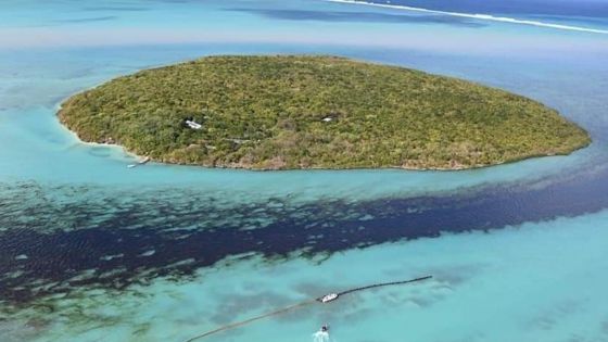 L'île-aux-Aigrettes : les activités reprennent à partir du 1er octobre