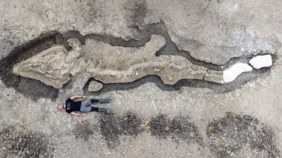 Royaume-Uni : un énorme fossile de « dragon des mers » découvert