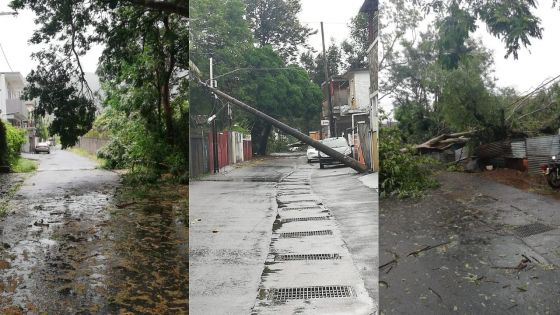 À Sainte-Croix : Un pylône électrique et des arbres cèdent