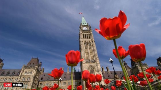 Réduction du nombre de travailleurs étrangers temporaires au Canada : les explications de Lifetime Immigration