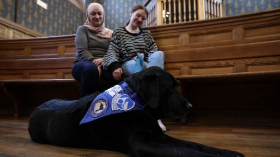 En France, des chiens en soutien des victimes durant les procès 