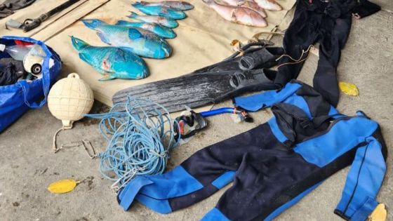 Pêche illégale : un fusil sous-marin et 33 kg de poissons saisis