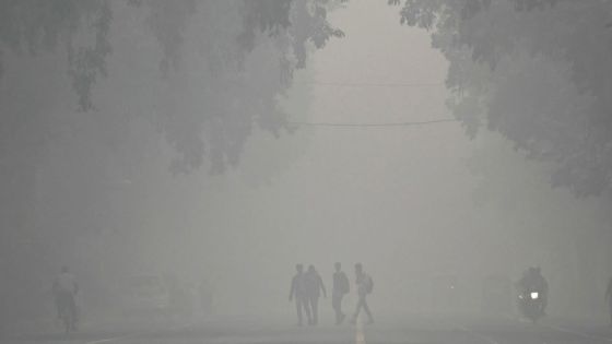 Inde: la capitale New Delhi ferme la majorité des classes en raison de la pollution