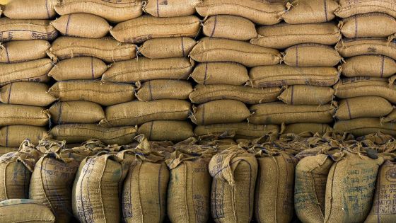 Inde: des centaines de milliers de tonnes de blé bloquées dans un port