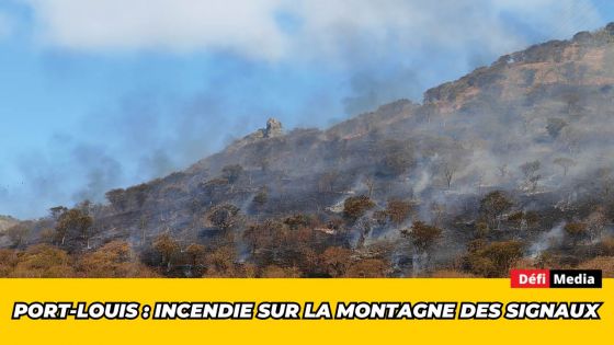 Port-Louis : incendie sur la montagne des Signaux
