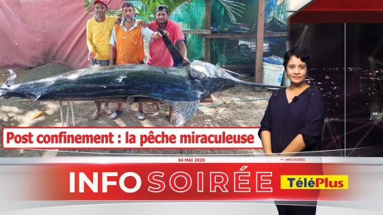 [Info Soirée] : Herold Mandarin « Dan al la pes ton, pu enn cari, nou finn gagn enn marlin 250 kilos »