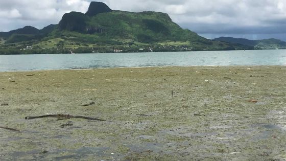 Mahébourg : retrouvé mort après une partie de pêche 