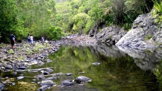 Le Black River Gorges National Park fermé au public