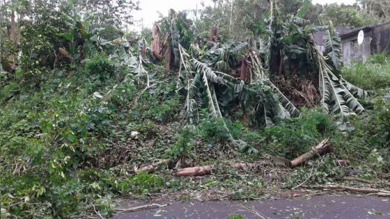 Rodrigues : la foudre cause d’importants dégâts matériels dans la région de La Ferme