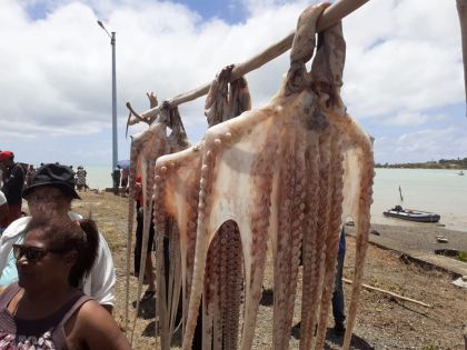 Rodrigues : fin du confinement ce soir, ouverture de la pêche à l’ourite ce jeudi